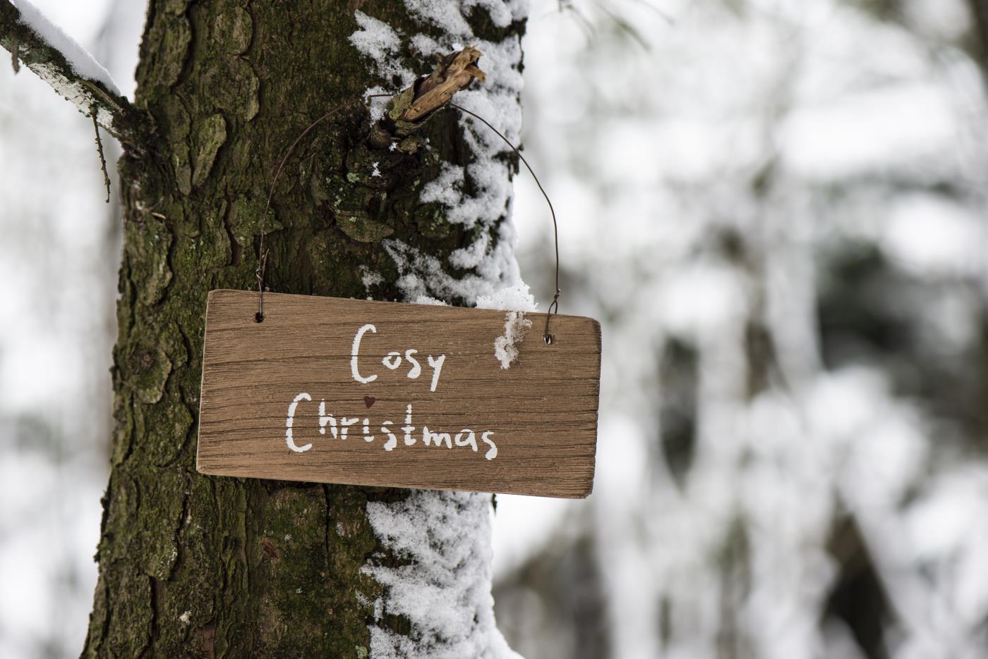 Holzschild Cosy Christmas