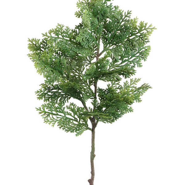 Twig Plant green juniper spray