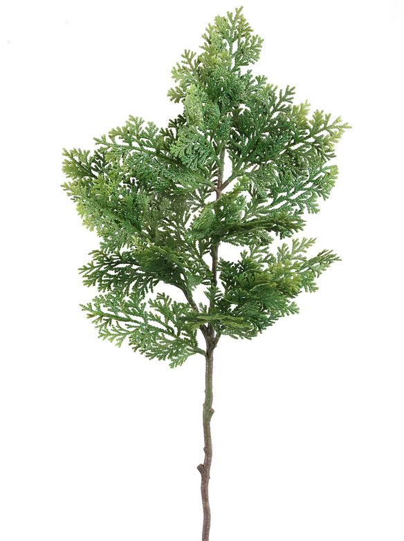 Twig Plant green juniper spray