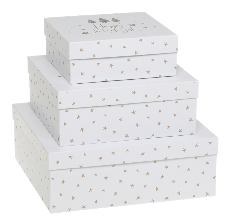 Box mit Sternen Set von 3