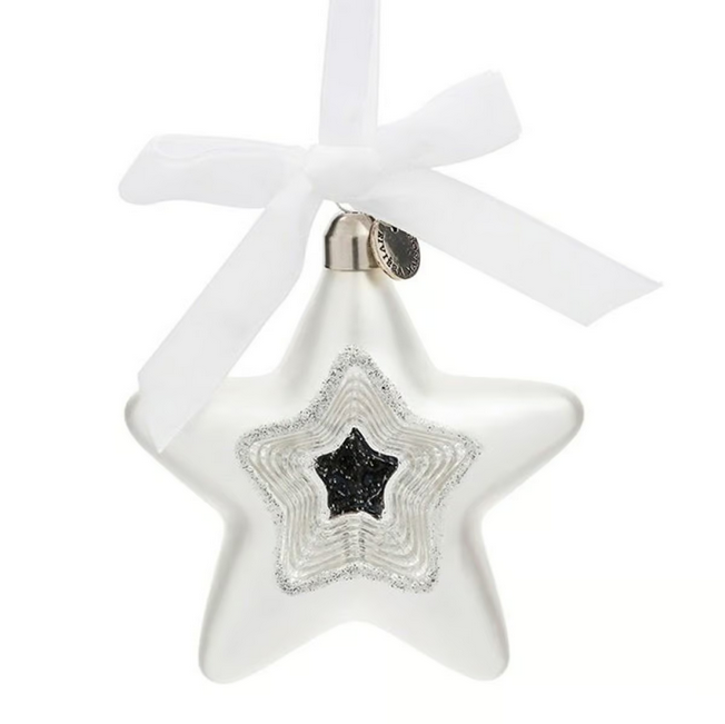 Star Of Wonder Ornament
