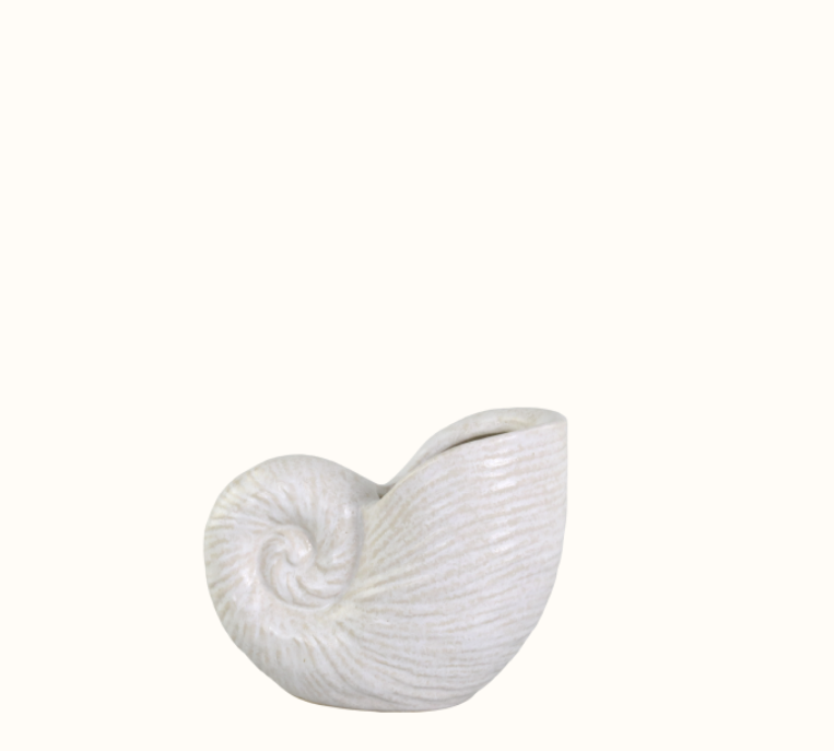 Vase Muschel