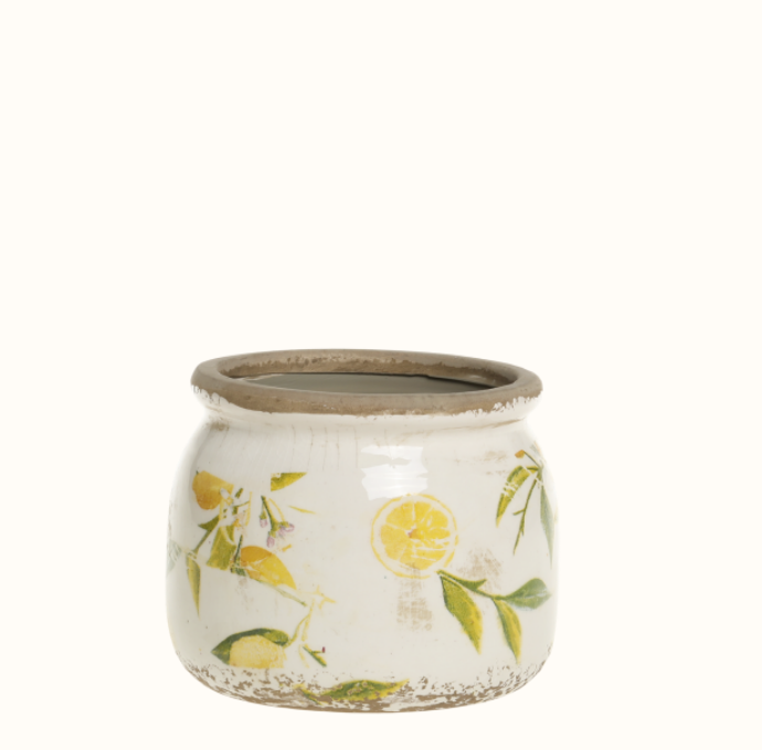 Limone Blumentopf mit Zitronenmotiv